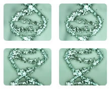 DNA en het verouderingsproces